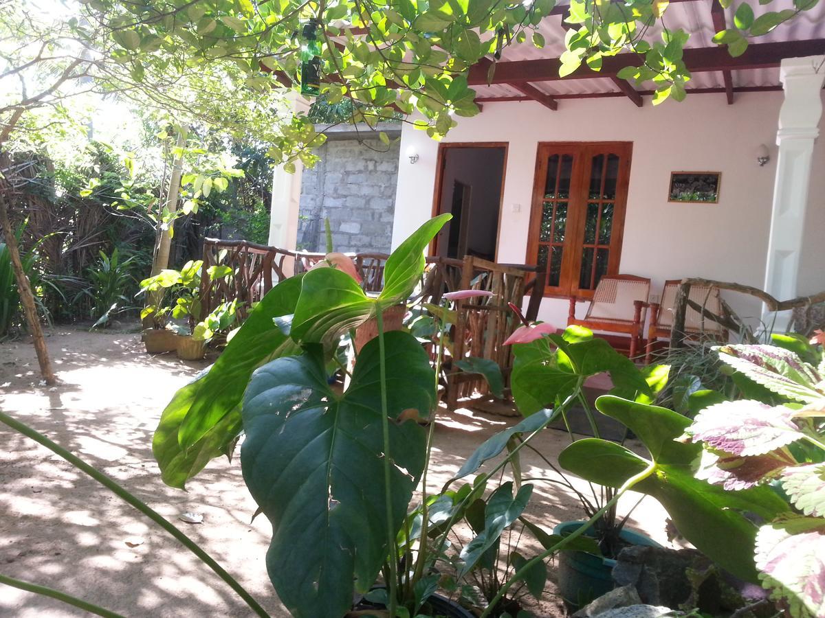 Sigiri Sansi Homestay Sigiriya Exterior foto